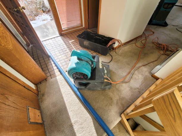 Best Fire Damage Restoration  in Jacksboro, TN