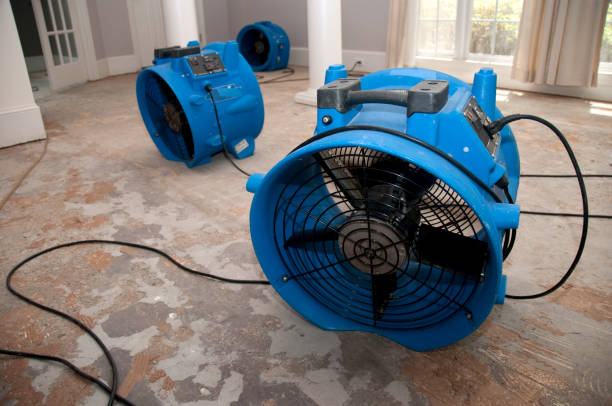 Best Flood restoration services  in Jacksboro, TN