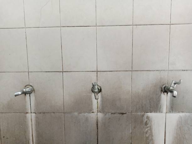Best Commercial water damage restoration  in Jacksboro, TN