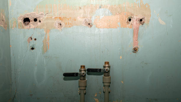 Best 24-hour water damage restoration  in Jacksboro, TN