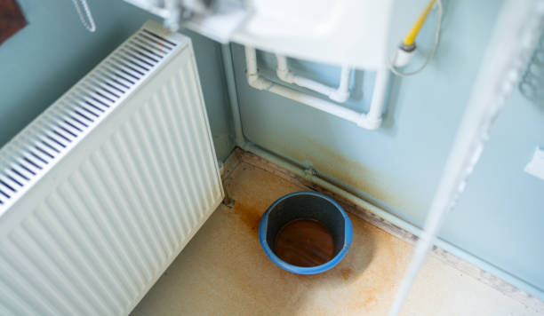 Best Ceiling water damage repair  in Jacksboro, TN