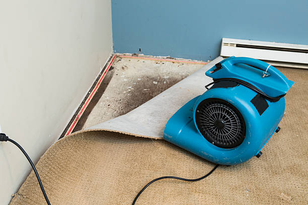Best Residential water damage restoration  in Jacksboro, TN